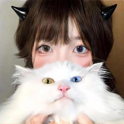全职猎人2011